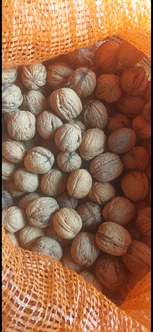 Nueces enteras a la venta, procedentes de Polonia (región de Lublin)