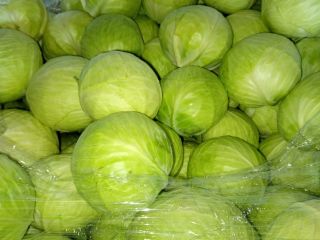 Vendo col blanca y col lombarda 1-3 kg, embalaje