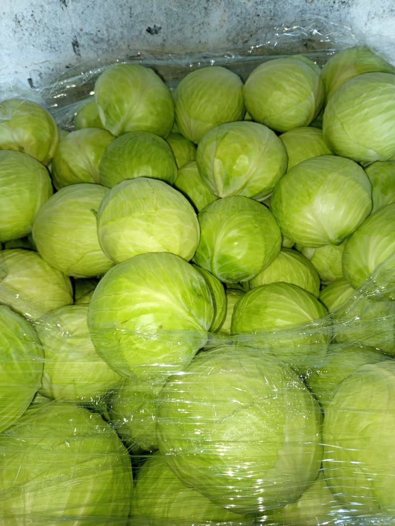 Vendo col blanca y col lombarda 1-3 kg, embalaje a convenir, col blanca calibre 1 kg-3 kg, 3 kg-4 kg, producto específico, limpio de mercado, variedad Longma