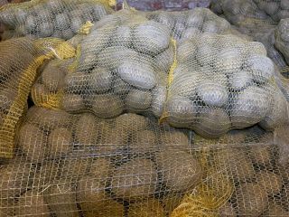 Tengo 24 toneladas de patatas de consumo PARADISO a