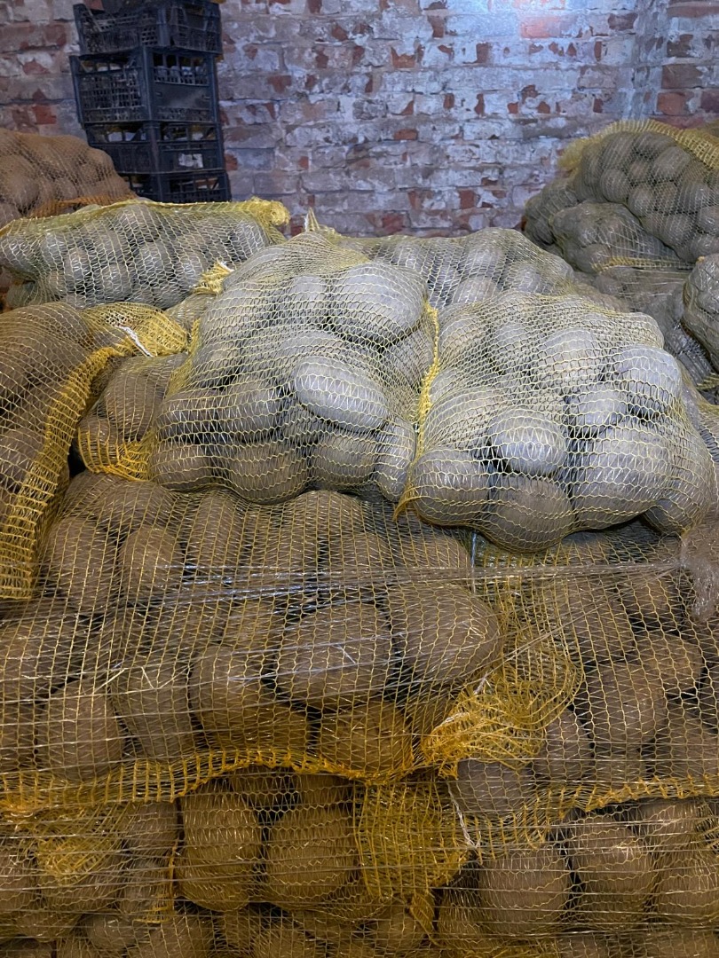 Tengo 24 toneladas de patatas de consumo PARADISO a la venta, envasadas en sacos cosidos de 10 kg