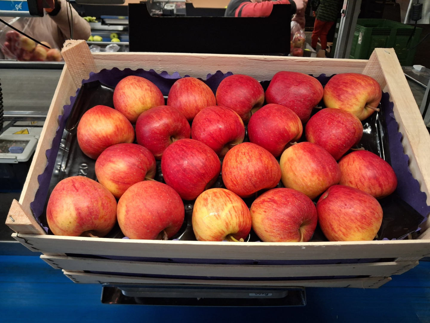 Vendo manzanas de postre, variedades pequeñas y de segunda calidad: Idared, Golden Delicious, Prince, Gala y Red Cap