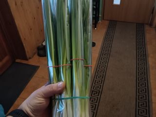 Hola, vendo cebollino en manojos y al peso. Precios