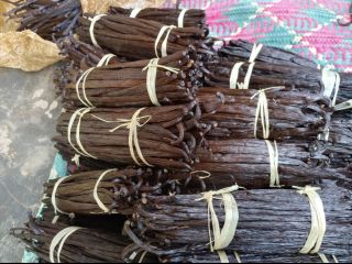 Vainas de vainilla frescas (variedad Bourbon) procedentes de Uganda.