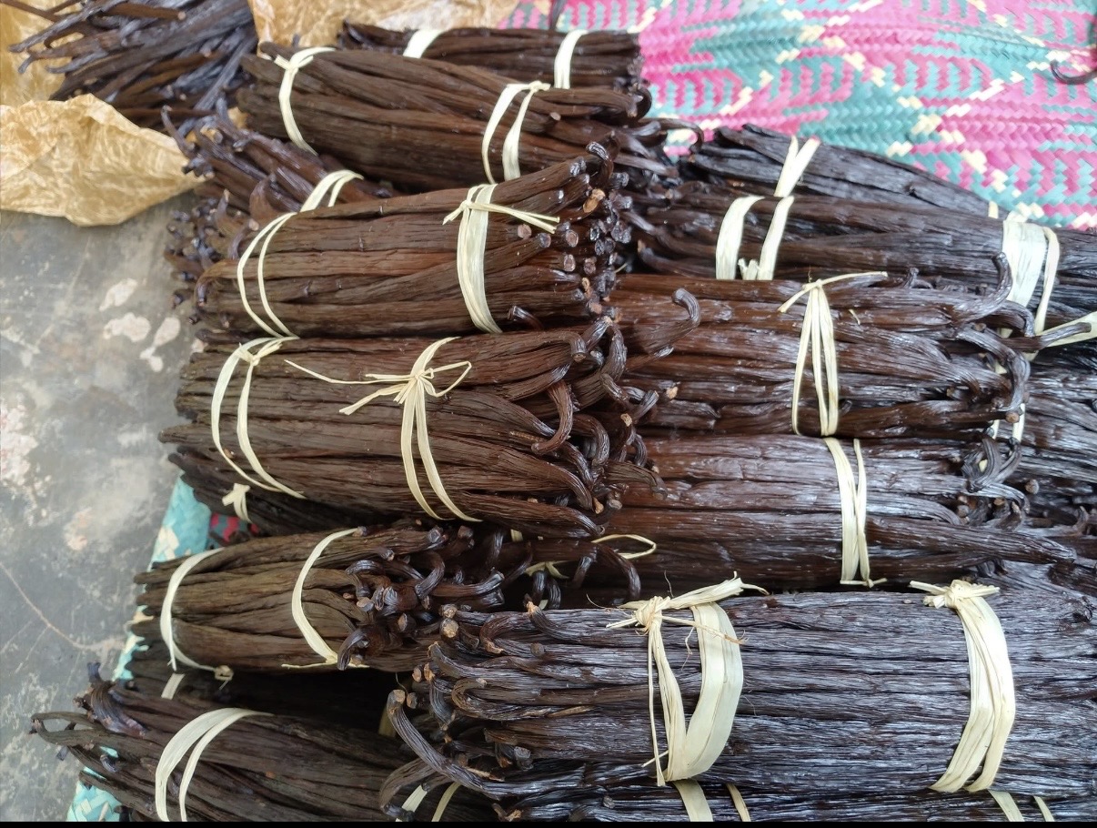 Vainas de vainilla frescas (variedad Bourbon) procedentes de Uganda