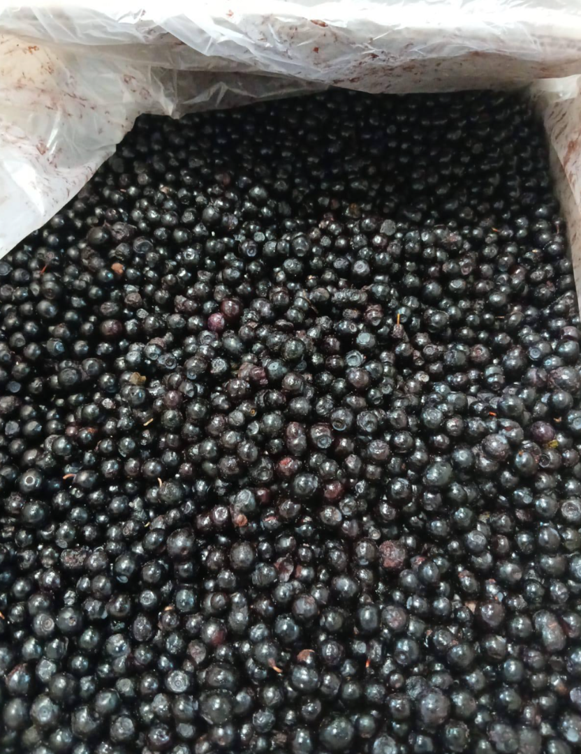 Fresas y arándanos congelados IQF Origen: Bielorrusia Ofrecemos fresas y arándanos congelados IQF de alta calidad para procesamiento y distribución al por mayor