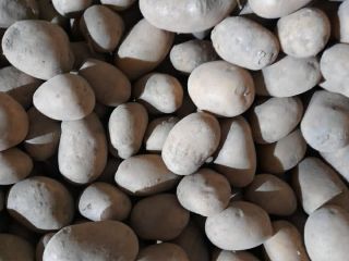 Vendo papas comestibles, como se muestra en la foto.