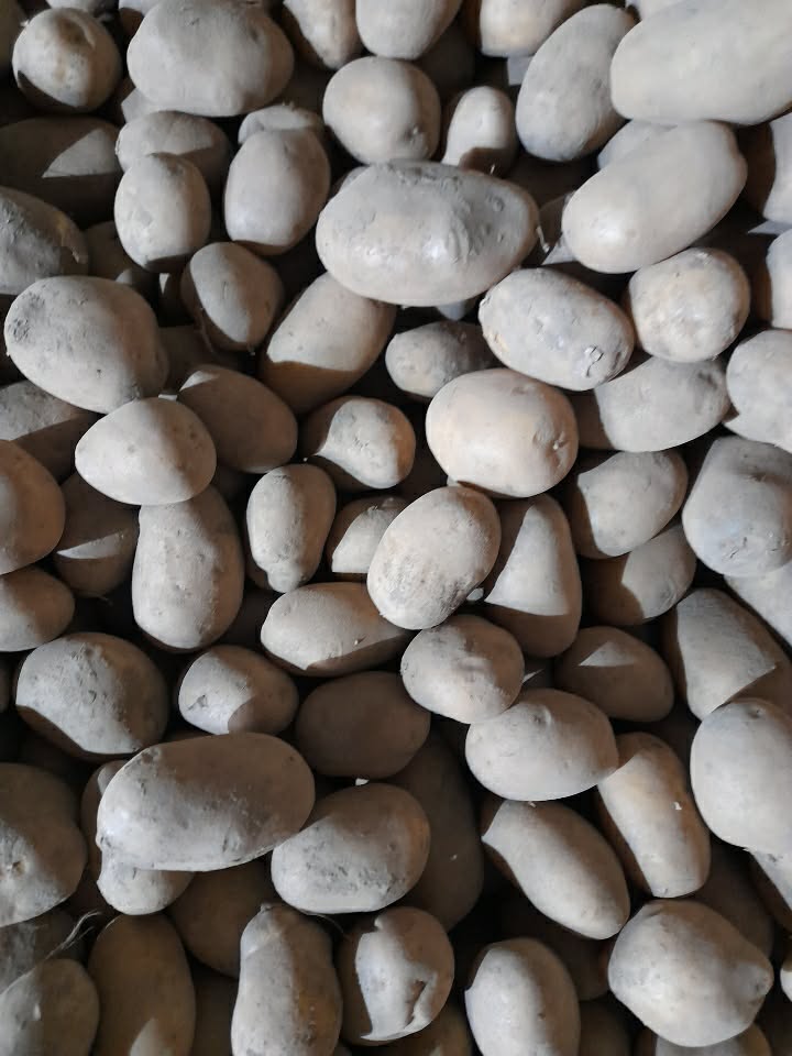 Vendo papas comestibles, como se muestra en la foto