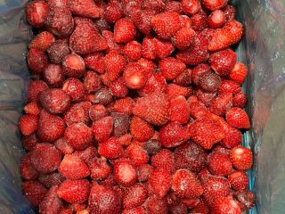 Fresa congelada de origen serbio, variedad Viktoria, cantidad disponible: