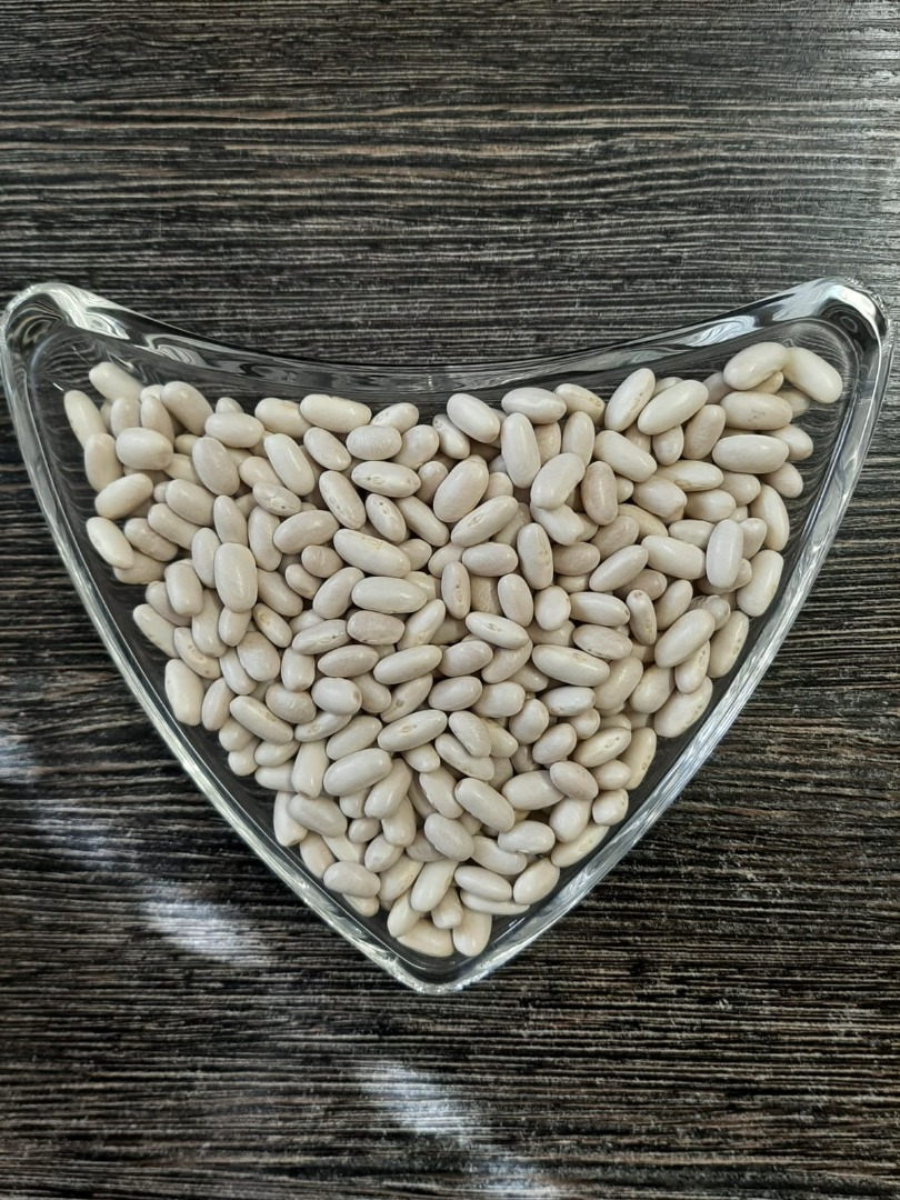 Se venden habas blancas ALUBIA