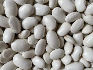 Tengo frijoles JAŚ a la venta en tamaños 85-90