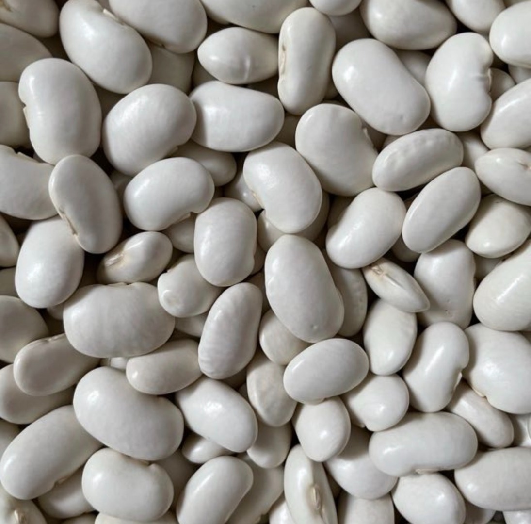 Tengo frijoles JAŚ a la venta en tamaños 85-90 y 100-120