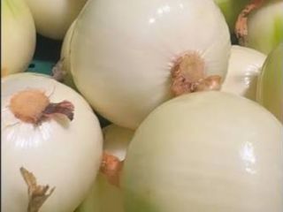 Vendo cebollas peladas. Busco establecer una colaboración con compradores.