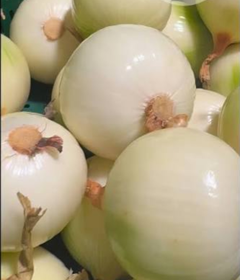 Vendo cebollas peladas