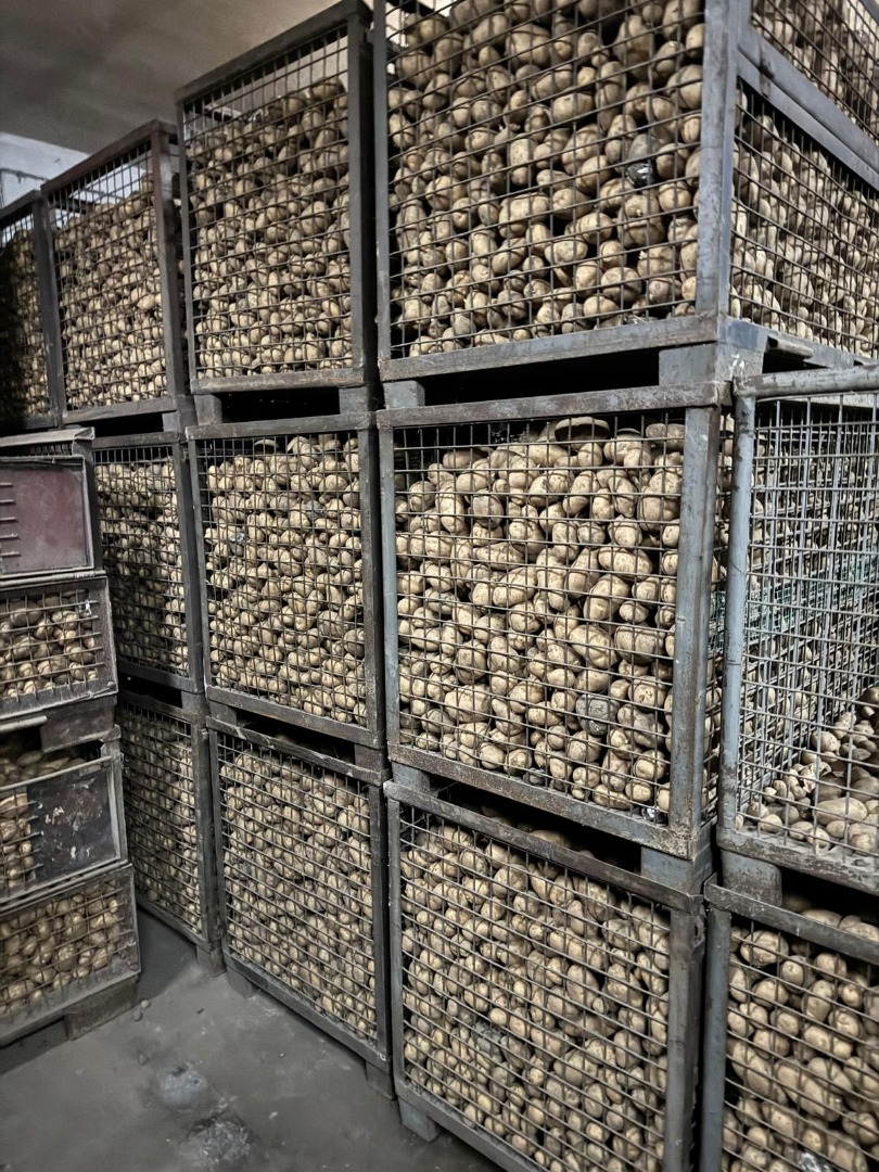 Hola, tengo papas comestibles en venta: - variedad: Lord, Denar, Impresja; - saco: 15 kg; - calibre desde 4 cm; Más información por teléfono: [teléfono]
