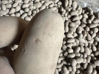 Vendo Queen Anne Soraya Belana Inowator. También tengo calibraciones
