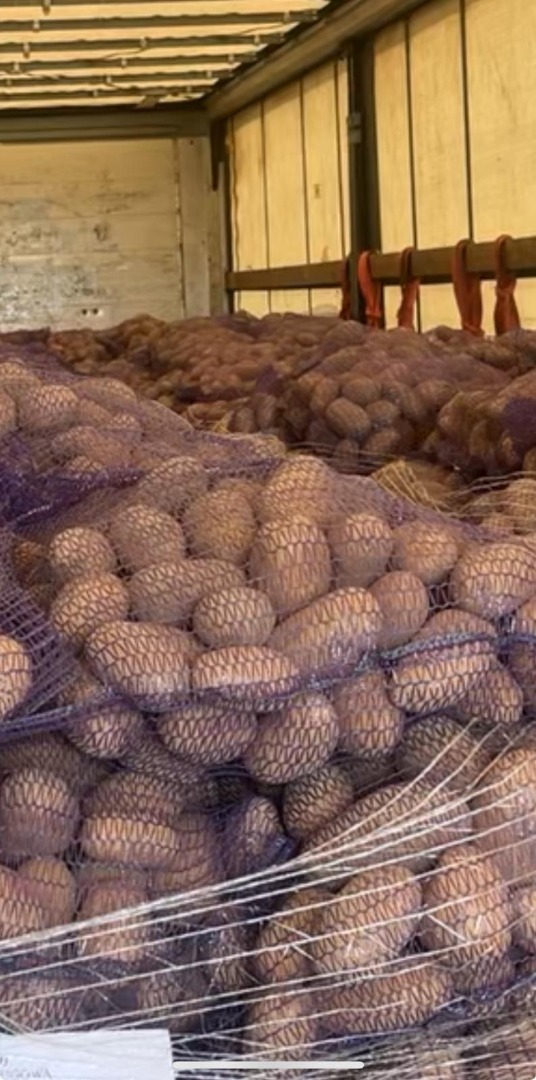 Buenos días, ofrecemos papas comestibles de las siguientes variedades: GALA, QUENN ANNA, BERNINA, CORINA, cantidades de camión completo, empaques de 15, 10, 5