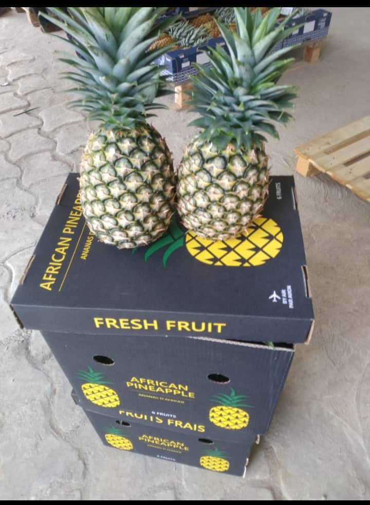 Piñas frescas de Benín, variedades Pain de Sucre y Cayenne Lisse (MD2)