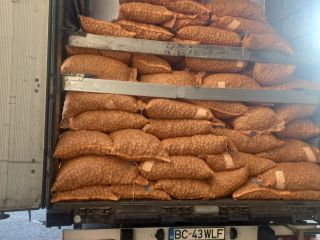 Hola, ofrecemos permanentemente nueces, salsas variadas, nueces con cáscara
