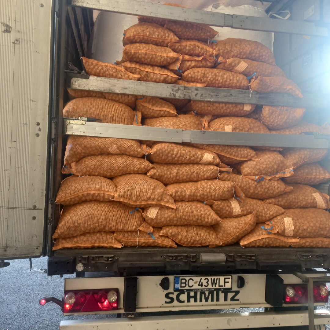 Hola, ofrecemos permanentemente nueces, salsas variadas, nueces con cáscara Chandler, Franquette, Fernor, semillas de calabaza, ciruelas pasas, ciruelas