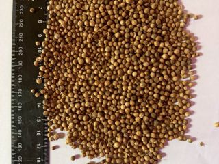 En stock 12t Pureza 98% Calidad real en la