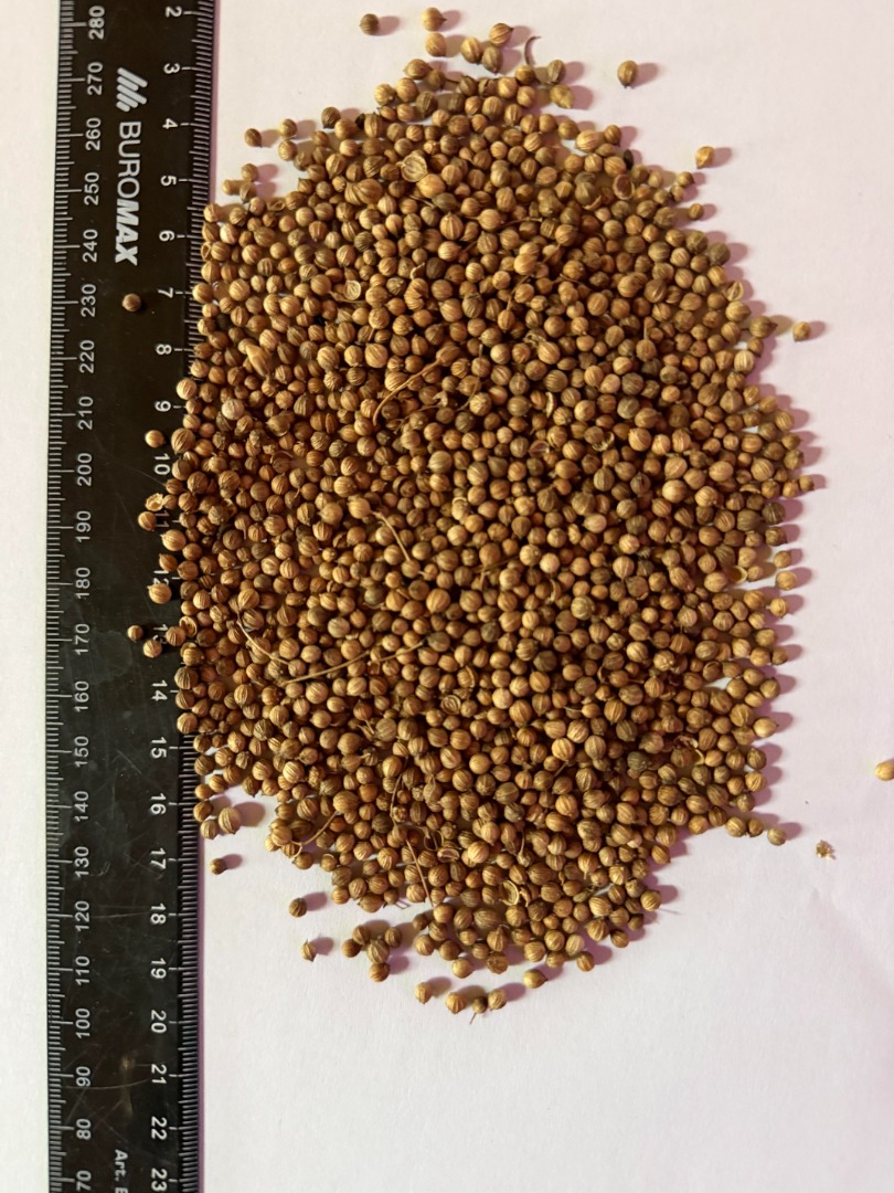 En stock 12t Pureza 98% Calidad real en la foto Embalaje: según solicitud del cliente