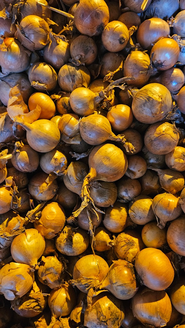 Vendo cebollas