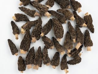 Colmenillas secas orgánicas - Paquete de 100 g -