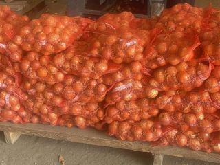 Venta de cebollas amarillas directamente del fabricante. Variedad Derek.