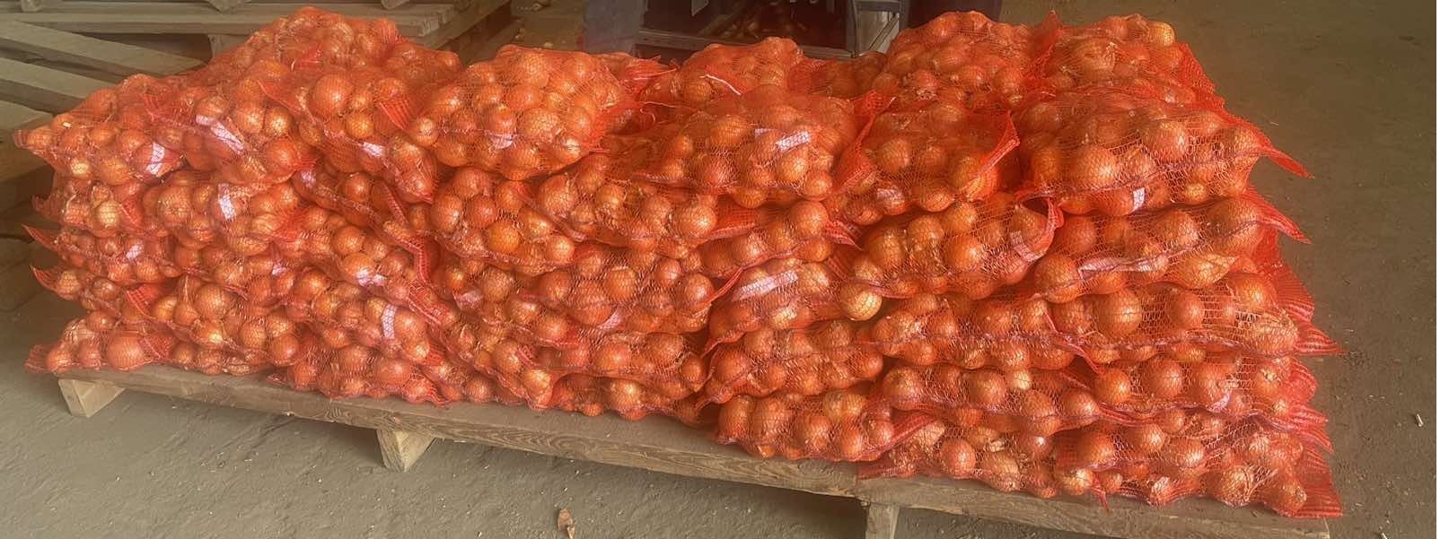 Venta de cebollas amarillas directamente del fabricante