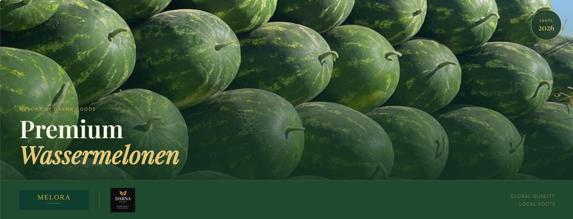 Somos exportadores experimentados de sandías frescas de Marruecos y poseemos tierras de cultivo en varias de las regiones agrícolas más reconocidas del país