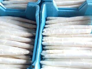Produzco espárragos blancos y verdes. Disponibles en grandes cantidades