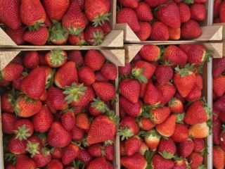 El tiempo de espera para recibir el producto es