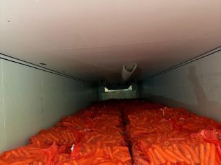 Zanahorias comerciales en venta. Calibre 2-4. Calidad comercial. Grandes