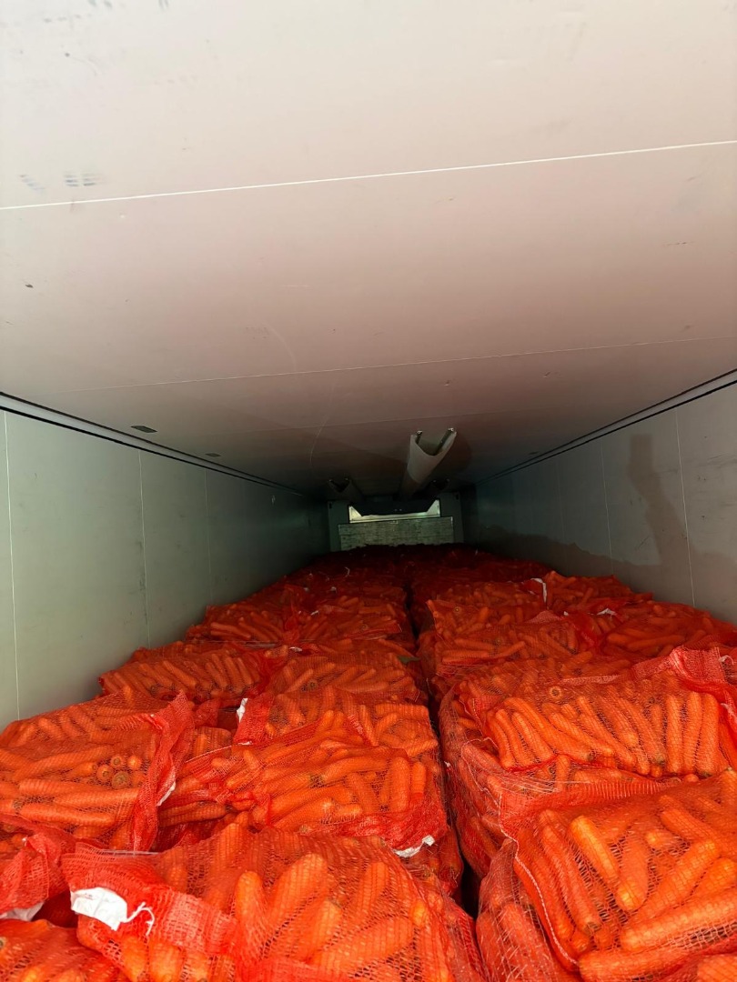 Zanahorias comerciales en venta