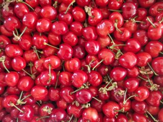 En FIA GOGOT FRUIT encontrará las frutas de temporada