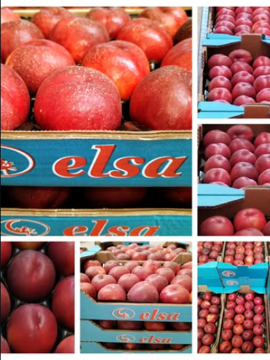 Fruta producida y envasado en españa, con global gap
