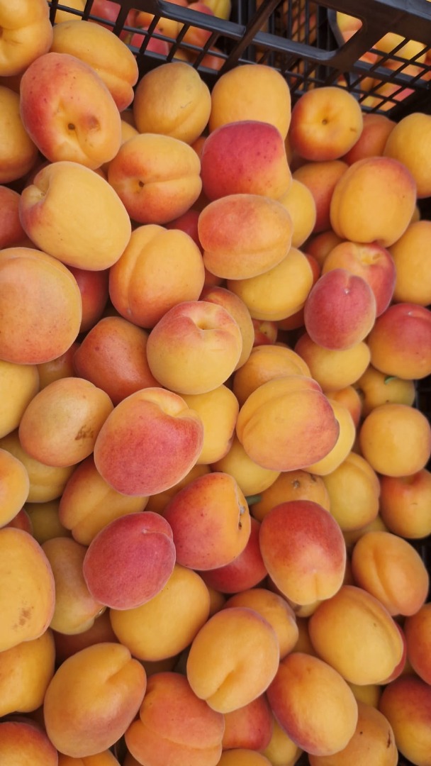Te esperamos para que descubras los albaricoques frescos y sabrosos de Grecia en FIA GOGOT FRUIT - FLORINA GOGOT