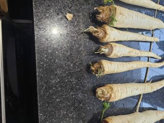 Venderé perejil 90gr/kg desde Zbytków, Silesia 25 toneladas [teléfono]