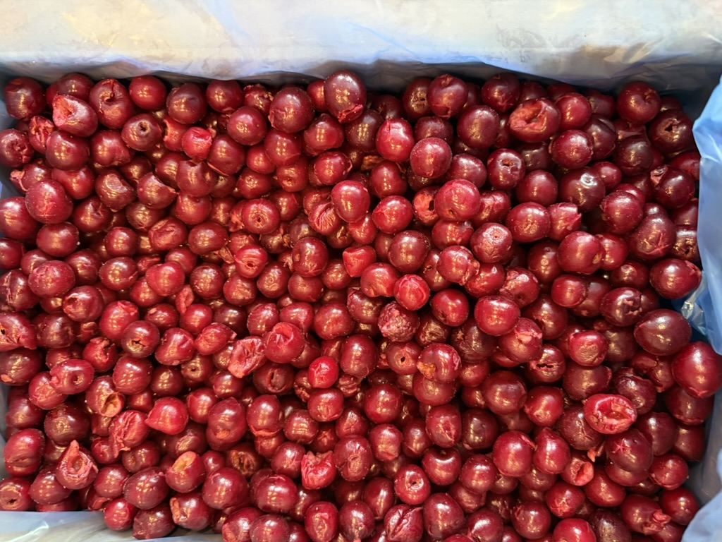 Vendo cerezas congeladas sin hueso, Clase I, 1/10 y 1/3, envasadas en cajas de 10 kg