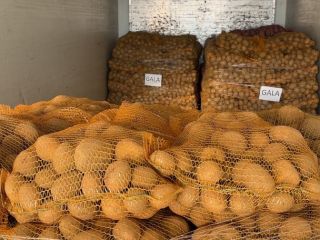 Venderé papas comestibles de las siguientes variedades: GALA, cantidades