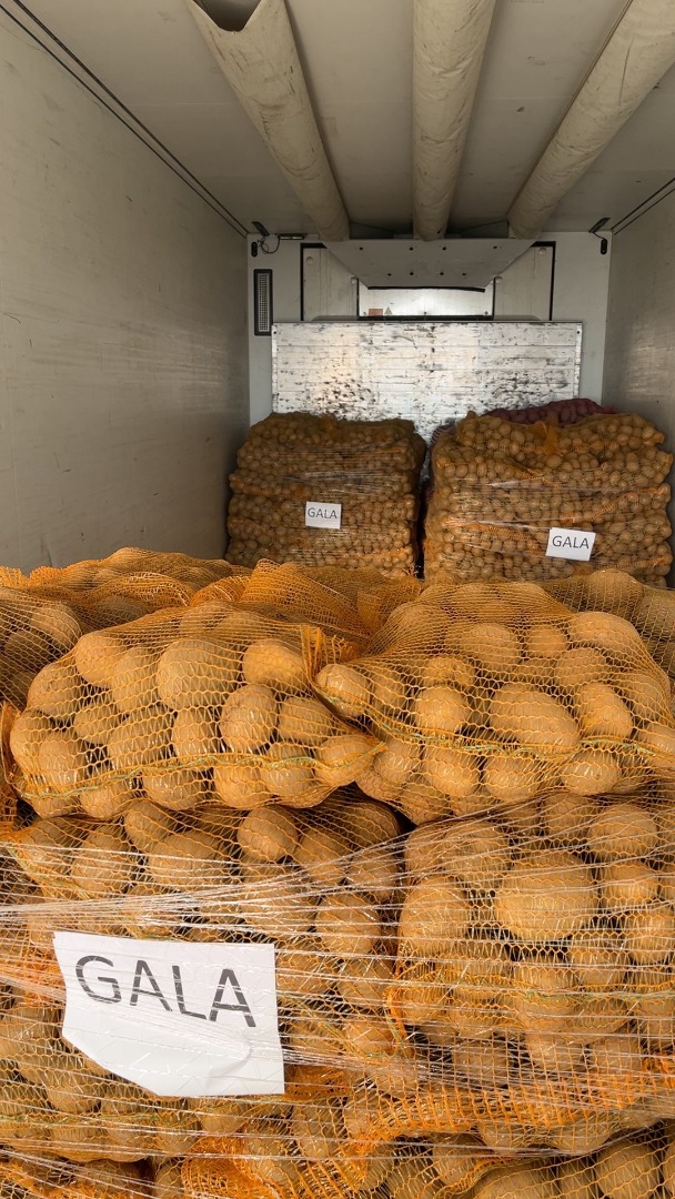 Venderé papas comestibles de las siguientes variedades: GALA, cantidades de camión completo, empaques de 15, 10, 5 kg, big bag cosido o suelto, más información