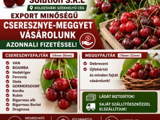 Una empresa con sede en Cluj-Napoca busca grandes cantidades