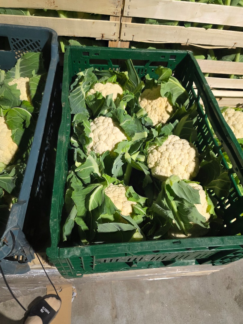 Tengo 6 coliflores en venta, todavía con su piel