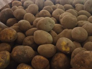 Características del producto: Variedad: Agria Origen: Bélgica Calibre: 50+