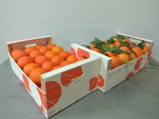 Venderé naranjas extra-clase, el país de origen de Portugal,