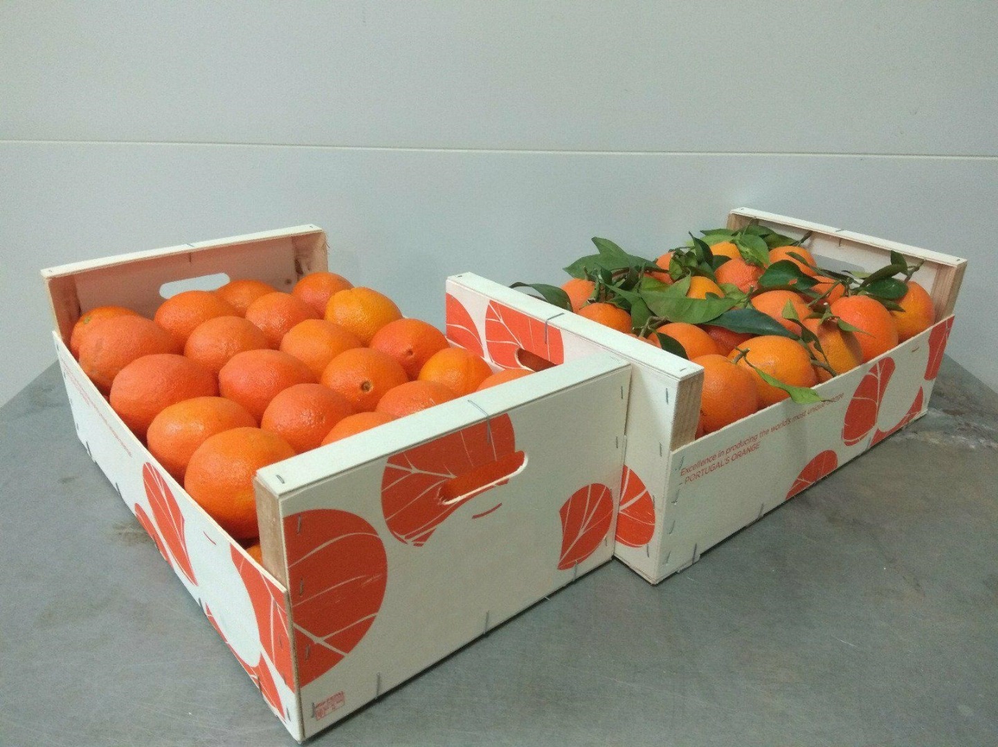 Venderé naranjas extra-clase, el país de origen de Portugal, en grandes cantidades