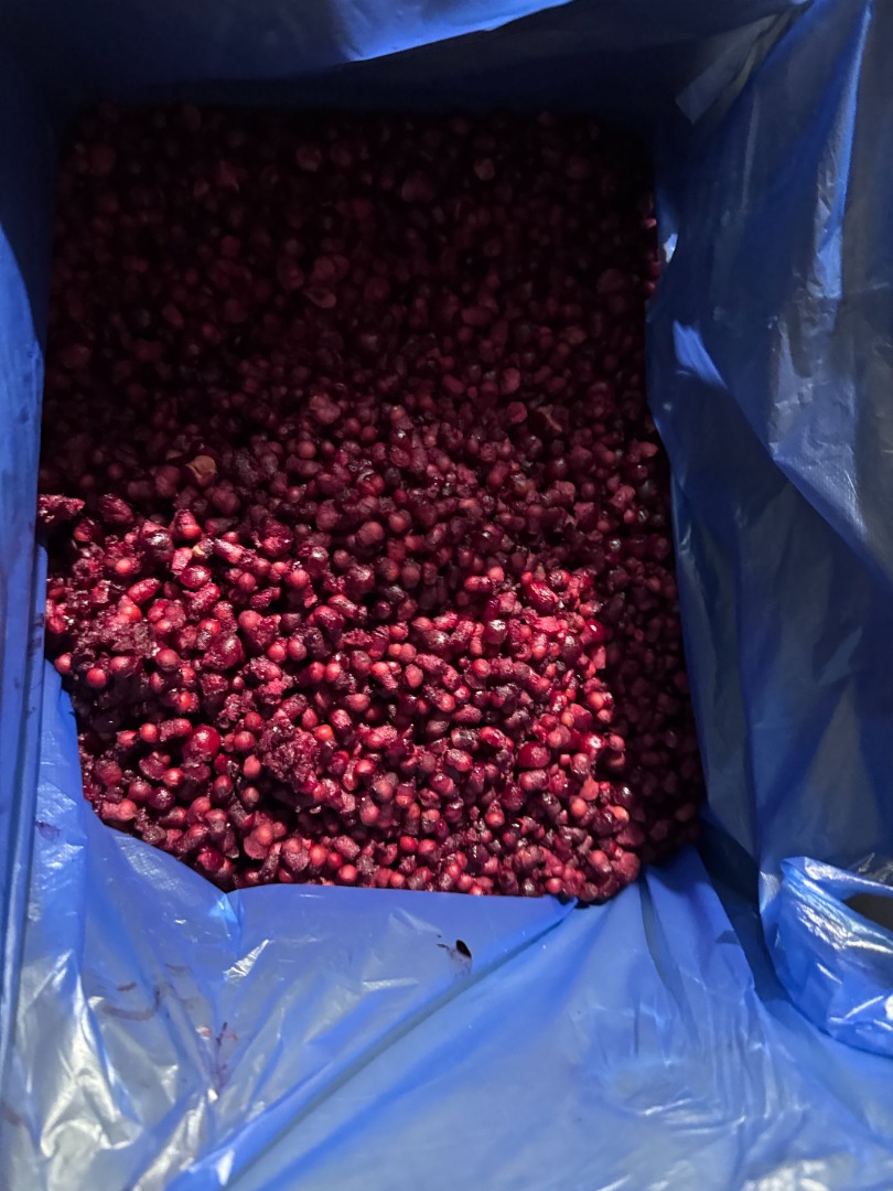 Venderé un hueso de cereza con mucha pulpa