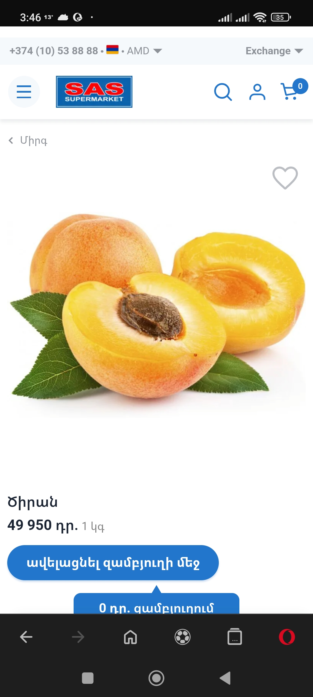 Albaricoque armenio de la variedad Shalah, grande y muy dulce