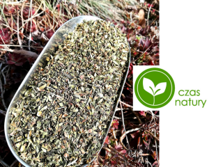 Scutellaria baicalensis hoja de tálamo 100% hoja Vender hoja